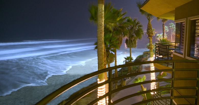 Pacific Terrace Hotel
