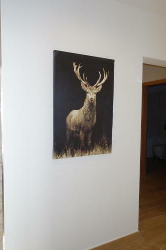 Apartamento Chesa Muragls