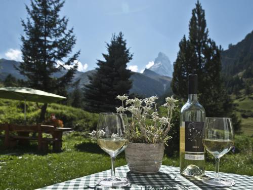 Hotel Plateau Rosa