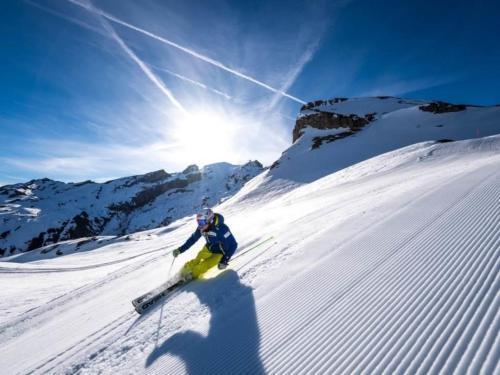 Apartment Titlis Resort Wohnung 425