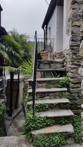 Apartamento Casa Grillino