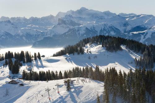 Chalet Les Fr�nes