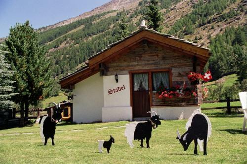 Apartamento Chalet Stadel