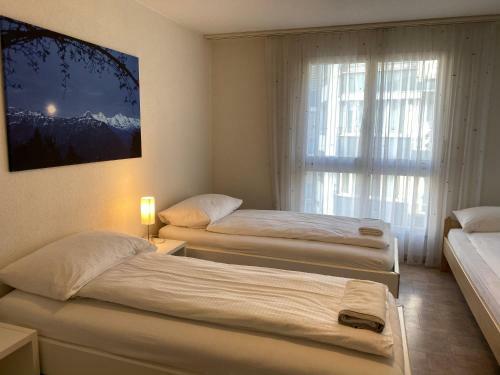 Dima Apartments