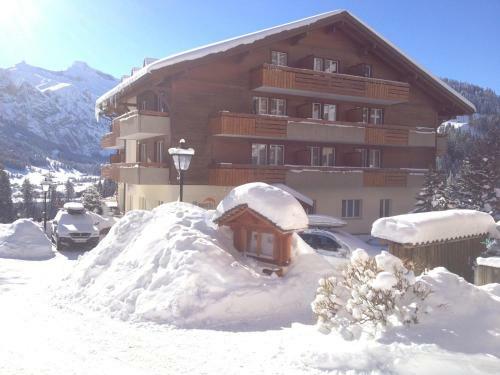 Hotel Steinmattli