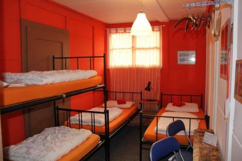 Albergue Downtown Lodge (hostel)