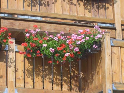 Apartamentos Chalet Z`wichjeh�s