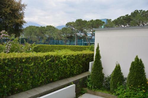Apartment Locarno-lido