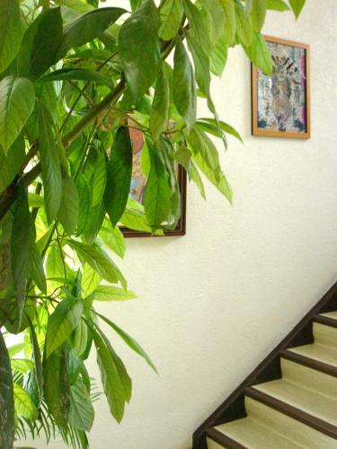 Dakini's Bed & Breakfast