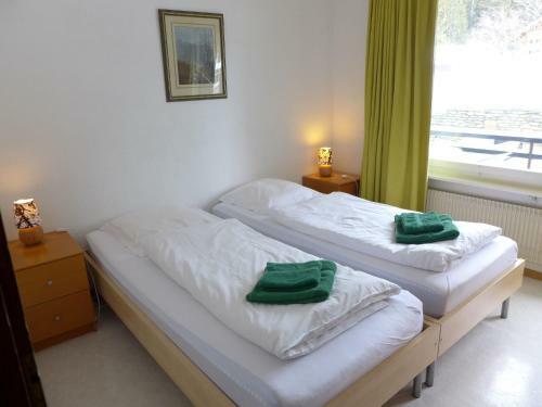 Apartment Cransalpin.7