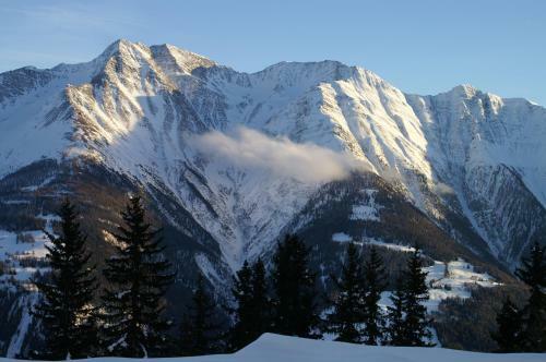 Swiss Chalet-style Hotel Walliser Spycher