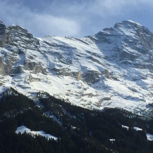 Hotel Du Sauvage Grindelwald