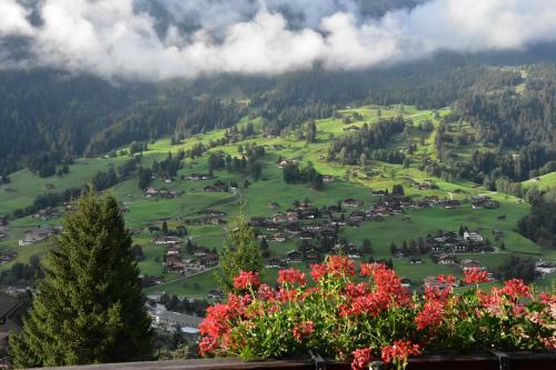 Hotel Du Sauvage Grindelwald