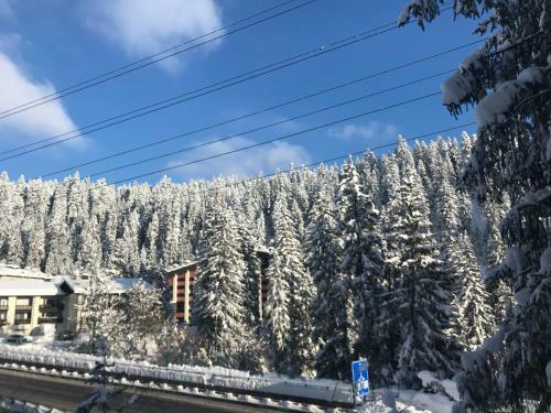Laax Rancho Studio Apartment