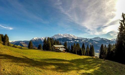 Laax Rancho Studio Apartment