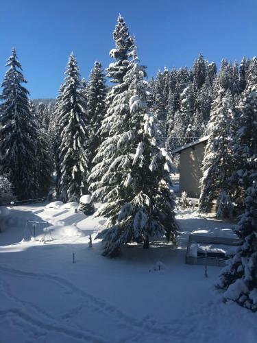 Laax Rancho Studio Apartment