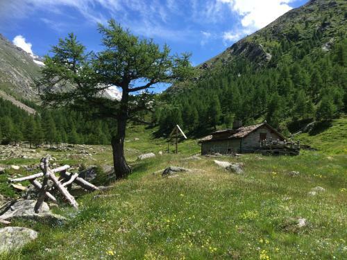 Apartamentos Chalet Sunstar