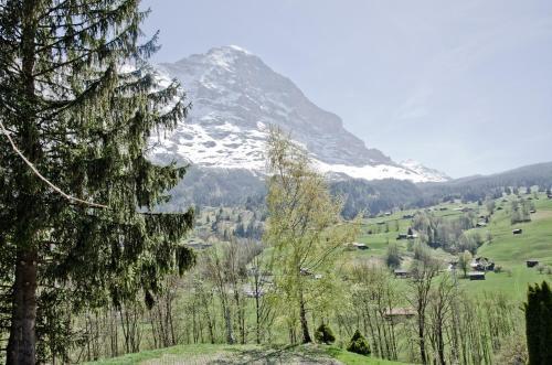 Apartment M�nnlichenblick 5.5 ? Griwarent Ag