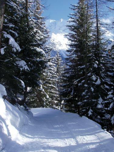 Apartamento Alpine Village Resort