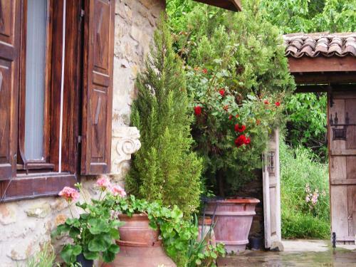Terrace Houses Sirince