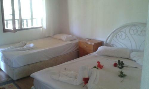 Hotel Fire Pansiyon