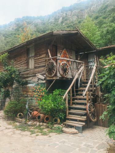 Albergue Kadir's Top Tree Houses