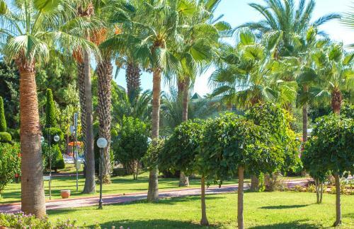 Lonicera Resort & Spa Hotel