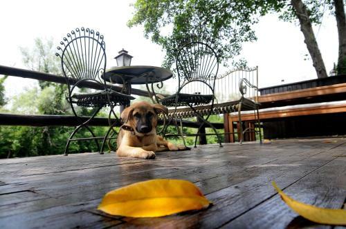 Hotel Beyaz Ev Agva - Adult Only +15