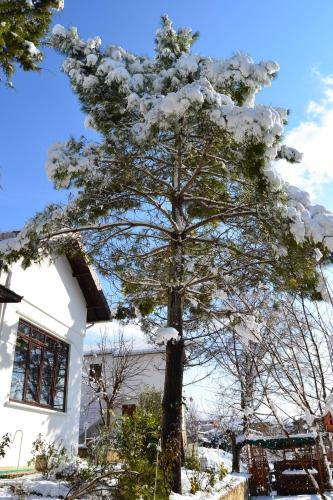 Hotel Beyaz Ev Agva - Adult Only +15
