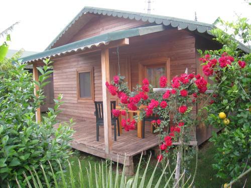 Cirali Almira Bungalow