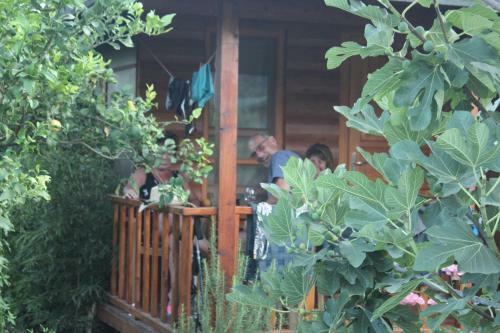 Cirali Almira Bungalow