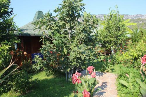 Cirali Almira Bungalow