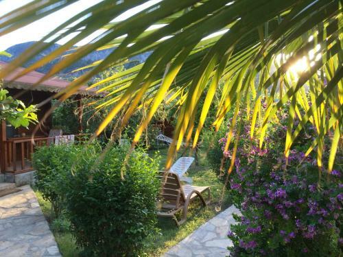 Cirali Almira Bungalow