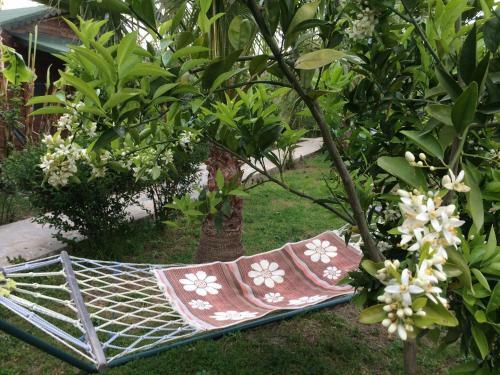 Cirali Almira Bungalow