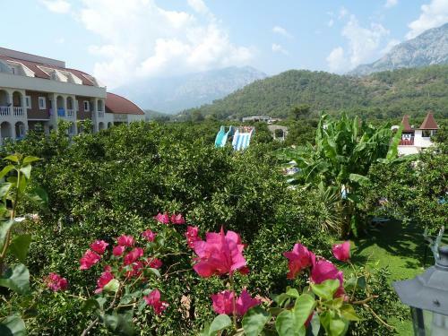 Hotel Garden Resort Bergamot