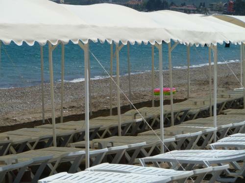 Hotel Garden Resort Bergamot