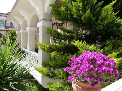 Hotel Garden Resort Bergamot