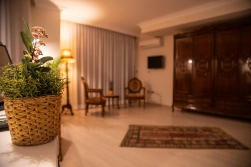 Hotel Teddy Luxury Ala�at?