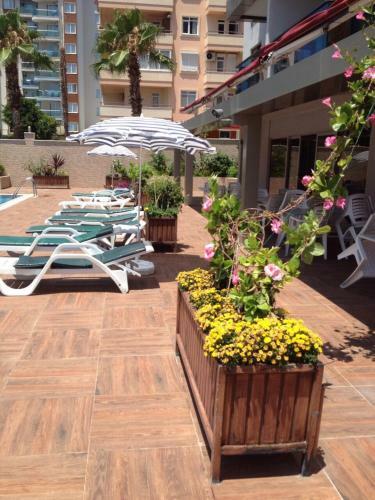 Granada City Elena Apartment