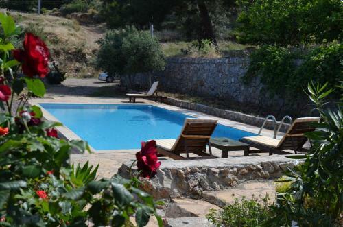 Faralya Limon Hotel