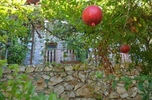 Faralya Limon Hotel