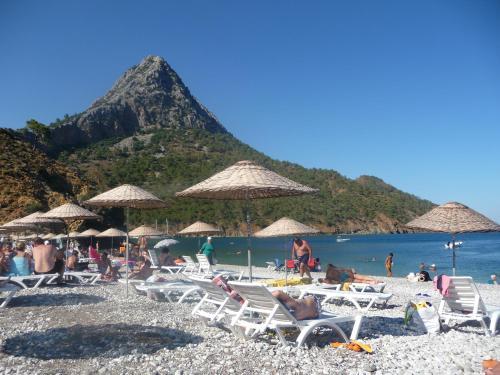 Nature Village Olympos