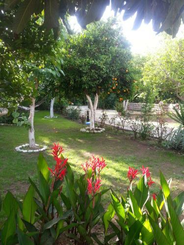 Hostal Anabella Pansiyon