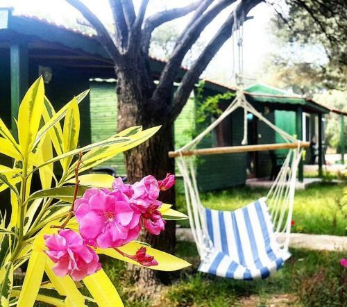 Lodge My Bungalov