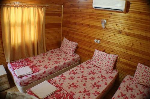 Bed & Breakfast Olympos Zeytin
