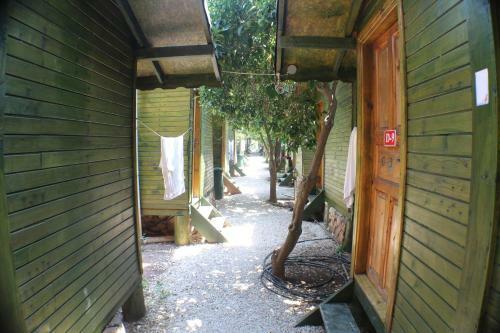 Bed & Breakfast Olympos Zeytin