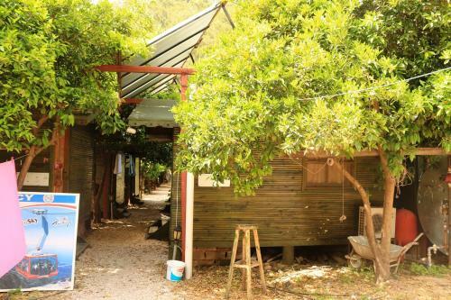 Bed & Breakfast Olympos Zeytin