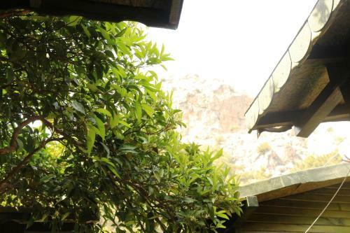 Bed & Breakfast Olympos Zeytin
