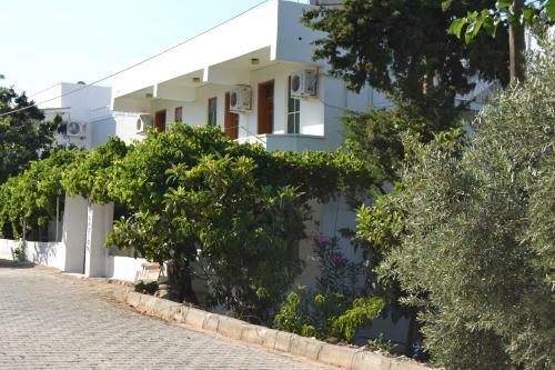 Hostal Sulo Pension