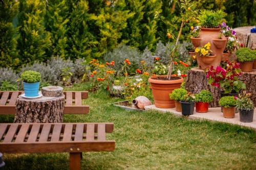 Bed & Breakfast Alapietra Hotel